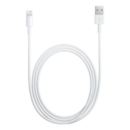 Apple Lightning - USB kabel 1m