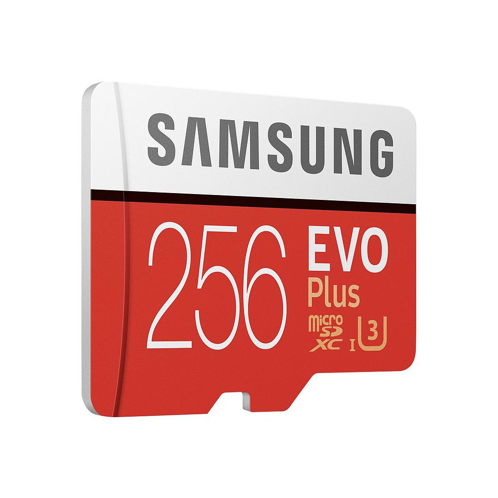 Samsung EVO Plus 256gb