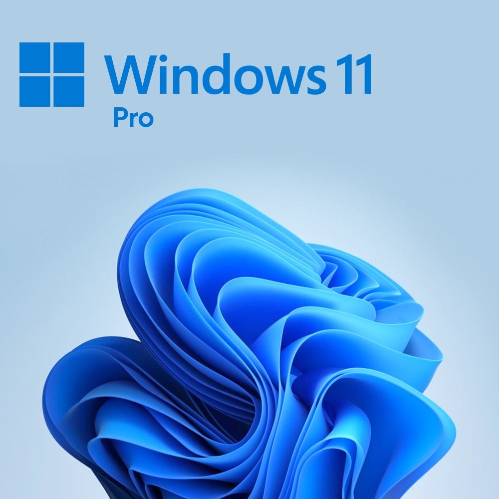 Windows 11 Professional 64bit NL OEM(ESD)