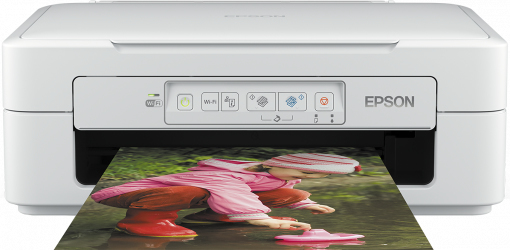Epson Expression Home XP-247